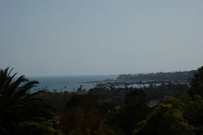 DSC_2472 (Large).JPG